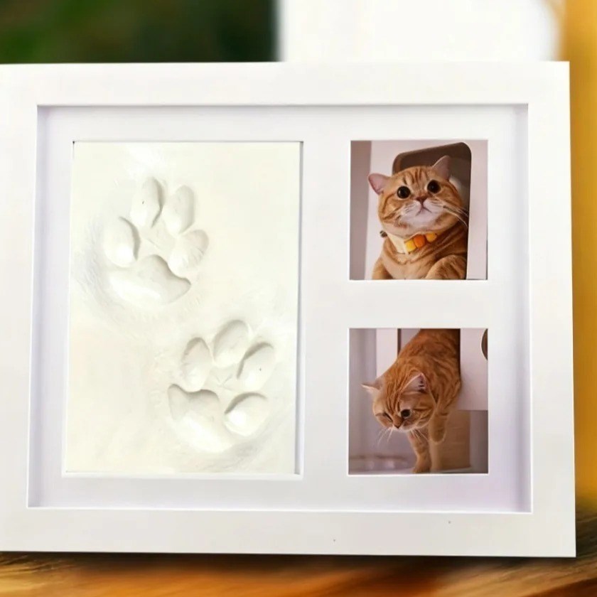 Marco blanco con dos huellas de patas en arcilla y dos fotos de un gato